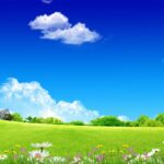 1366x768_windmills-and-houses-on-the-meadow