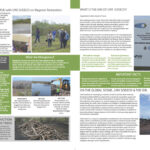 SCJ Mangrove Document1024_2
