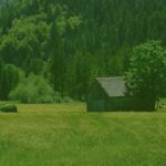 banner-natureone.jpg