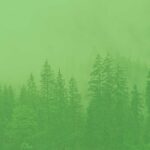 offer-bg-img.jpg