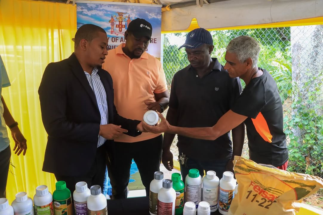 SCJ Holdings Limited- Jamaica